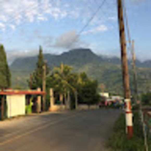 Meet your Posher, Stefanie - Picture 1 of 1